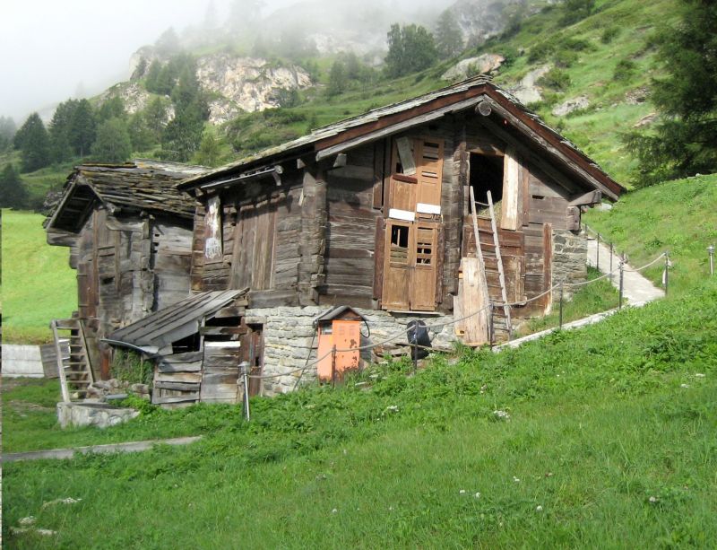 How Professional Shed And Barn Building Improves Property Functionality