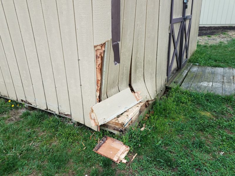 Wood Shed Repair in Kansas City, KS